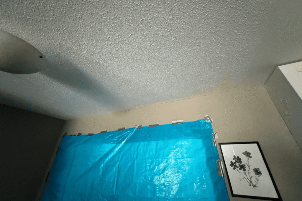 Casselberry asbestos removal 2