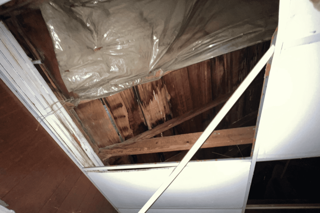 Winter Garden asbestos testing 2