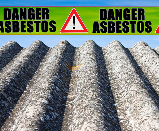 Crisp Did Asbestos Get Unbanned Moment Photography Crisp Did Asbestos Get Unbanned Moment Photography